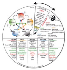 TCM-Grundlagen Drehscheibe (Keller, Nicola / Altendorfer, Barbara)