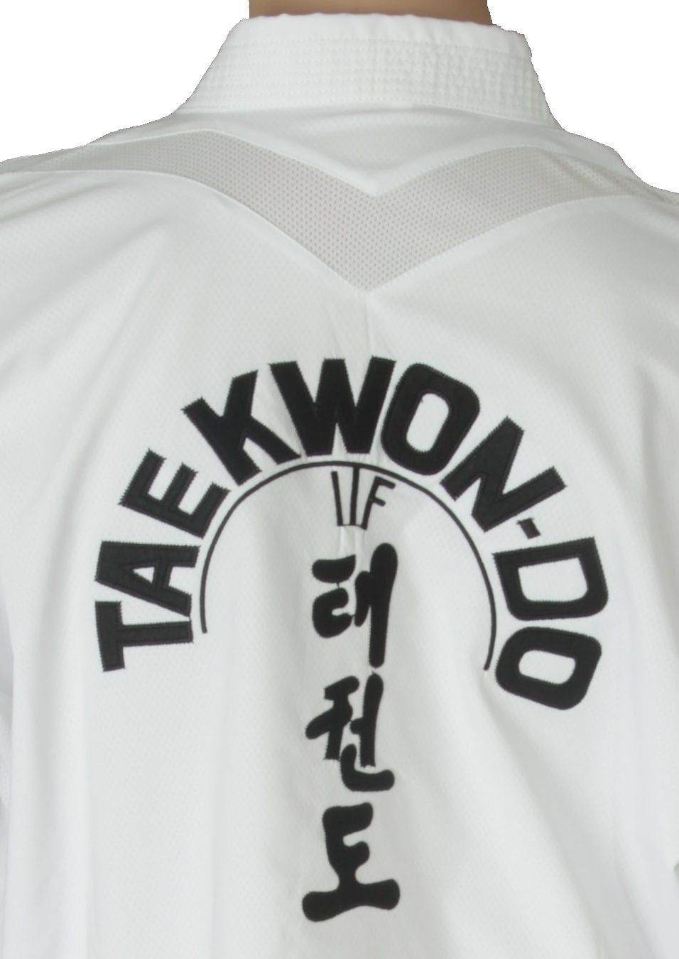 Taekwon-Do Master TOP TEN ITF Premium gold