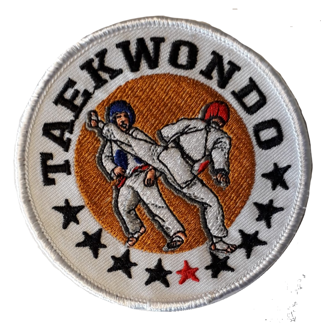 Taekwondo Kämpfer Aufnäher