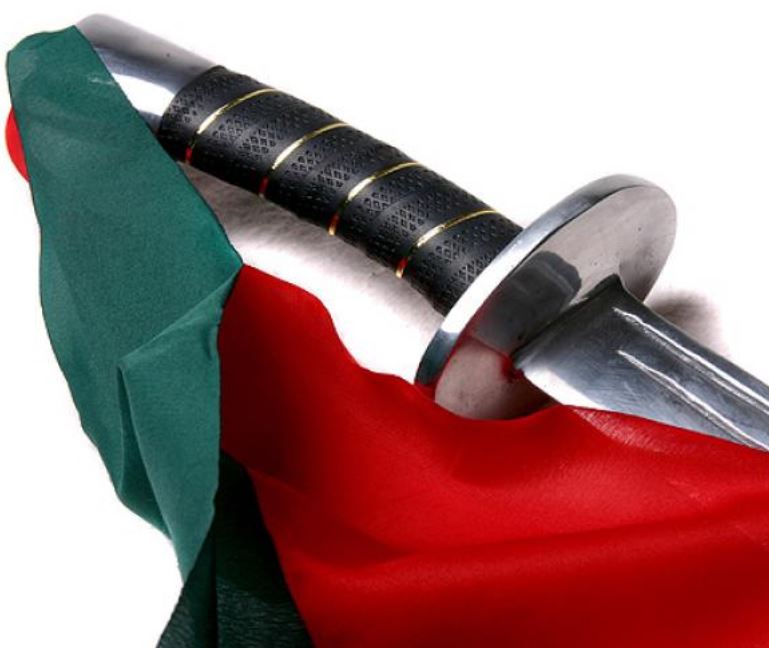 Kung Fu Säbel mit starrer Klinge