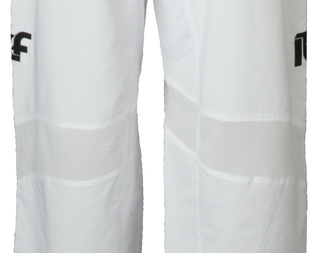 Taekwon-Do Master TOP TEN ITF Premium gold