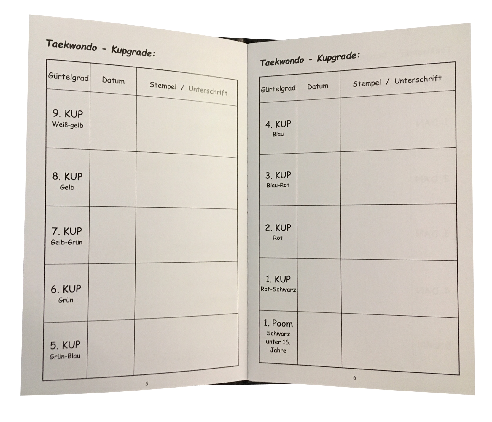 Taekwondo Sportausweis ITO