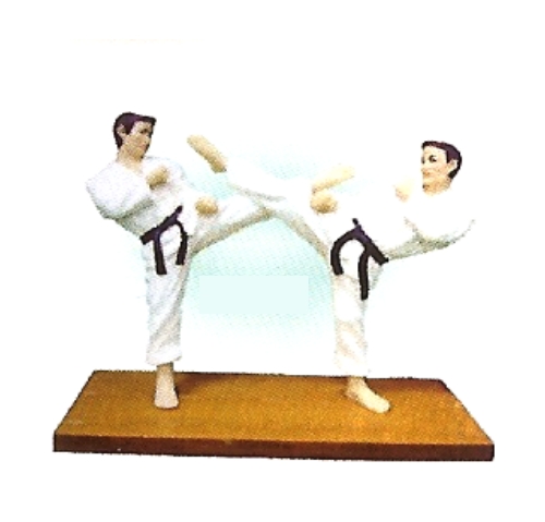Taekwondo Figuren (H958)