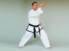 ITF-Taekwon-Do Dobok Master