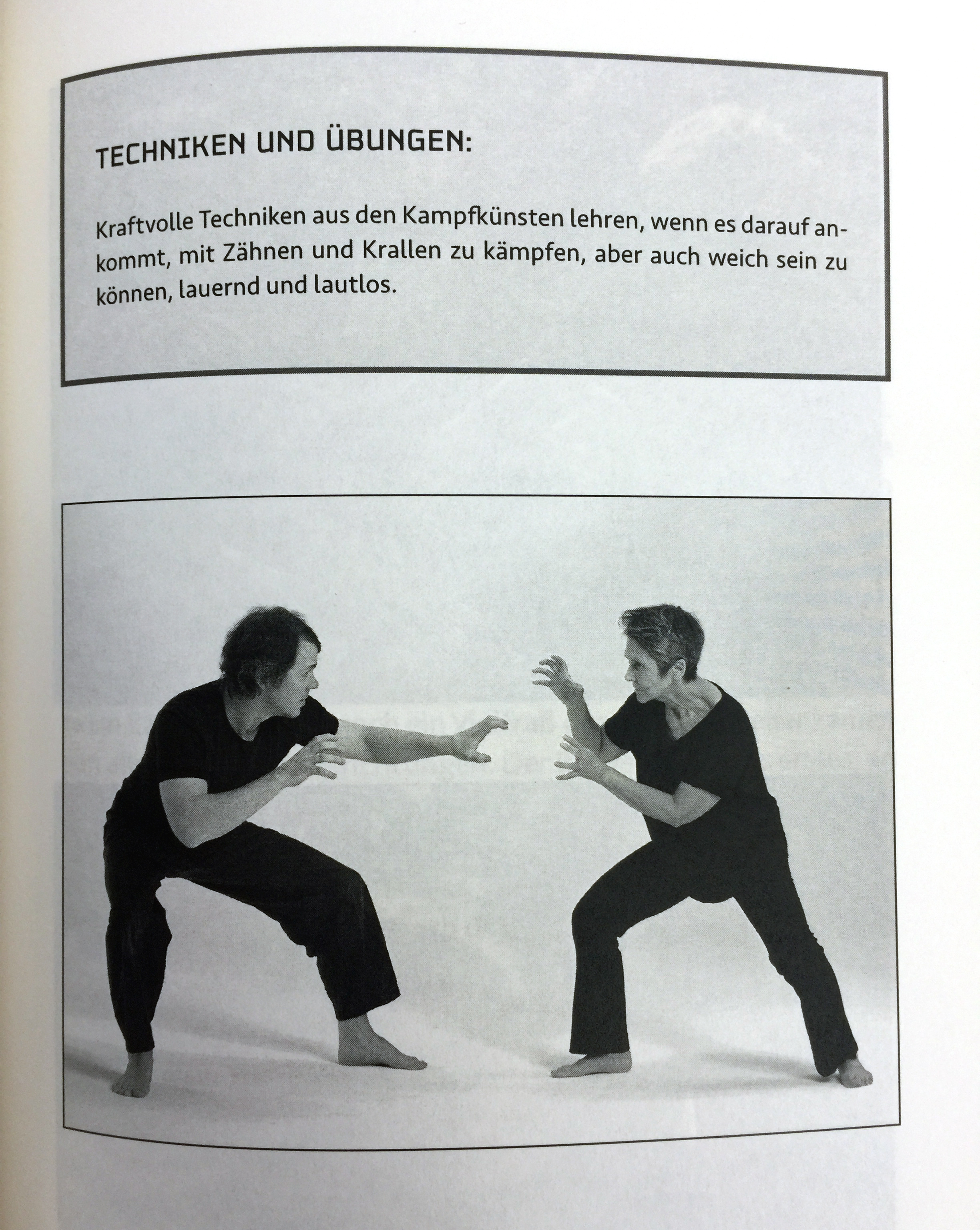 Angewandtes Qigong zur Begleitung in Alltag, Therapie und Training - Schröder, Gertrud