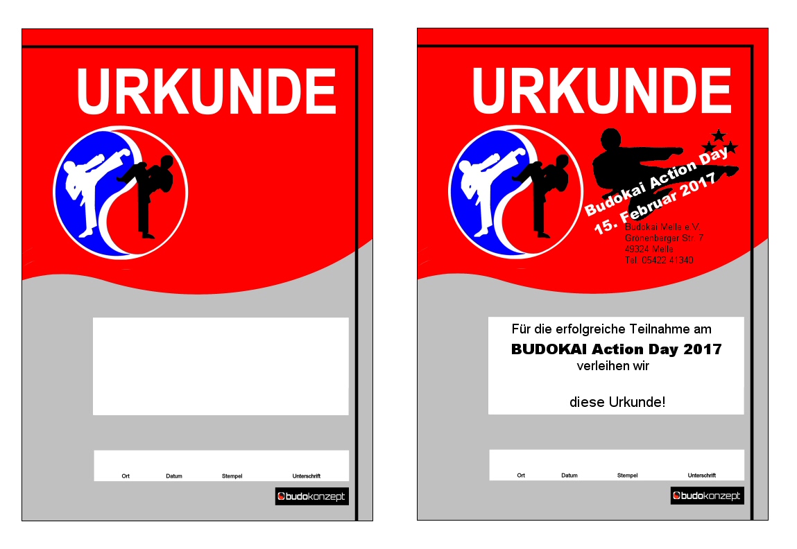 Aktions-Urkunde 250 Stück individuell