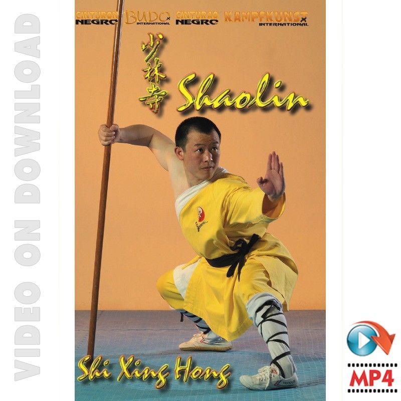 Die 18 Bewegungen des Shaolin Kung-Fu DVD