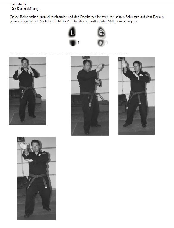 System zum Selbstschutz - Entstehung und Techniken des N.K. Kempo