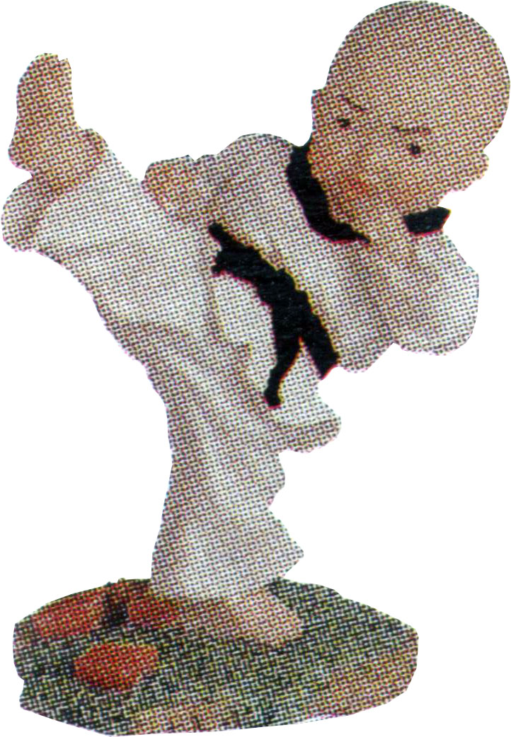 Karate Figur (H962) 10,5 x 7 x 12cm