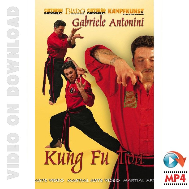 DVD Kung-Fu Toa Formen - Anwendungen Vol. 1