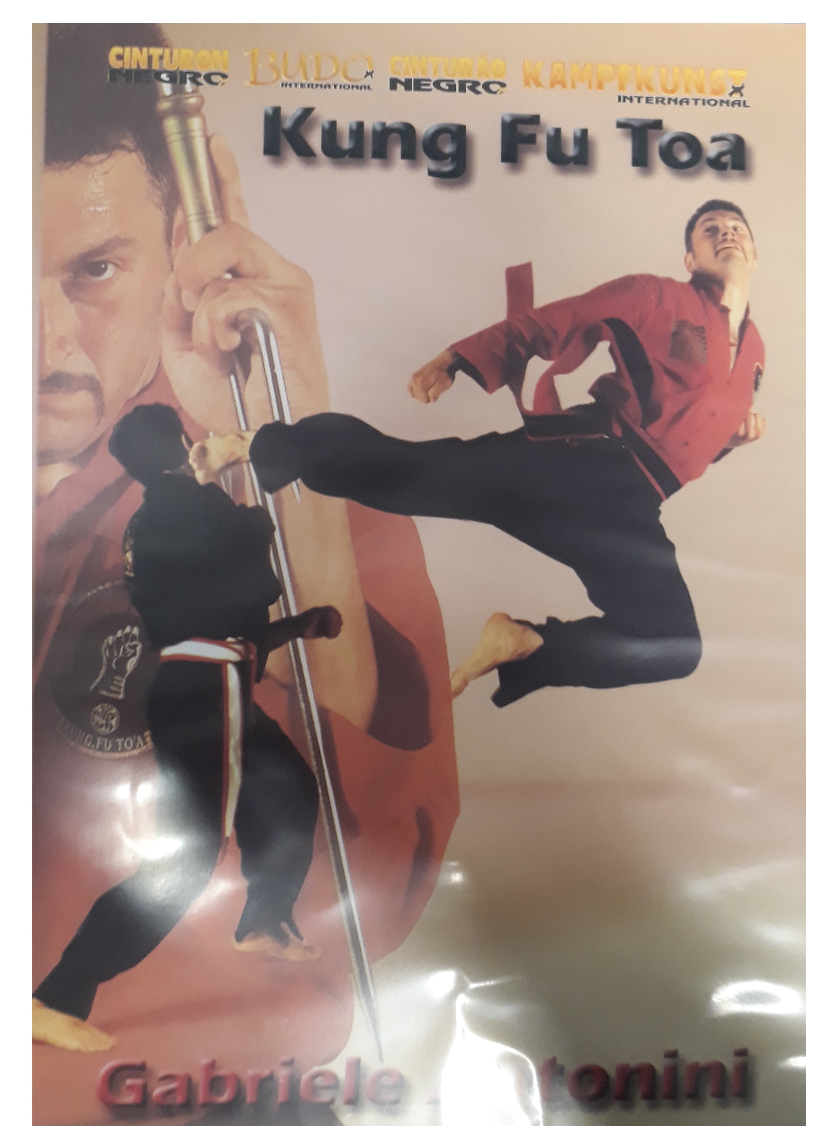 Antonini: Kung Fu Toa - Forms & applications Vol.2 (DVD)