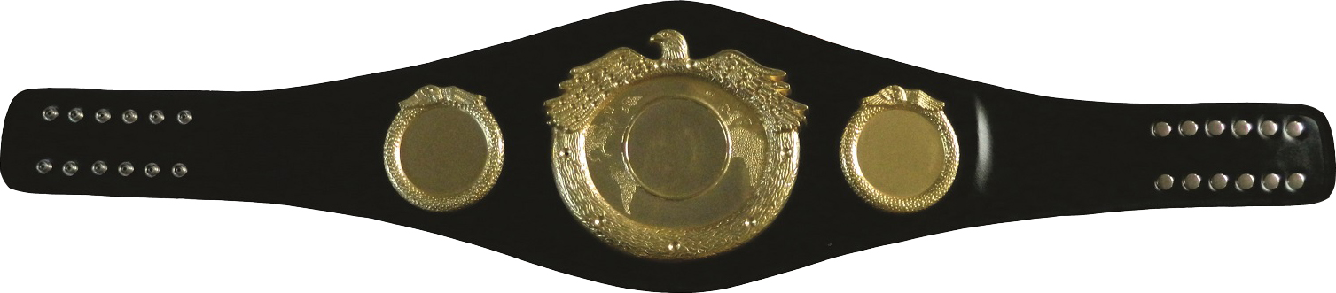 CHAMPION Gürtel NEW QUALITY Master Edition Golden Eagle (C-113)