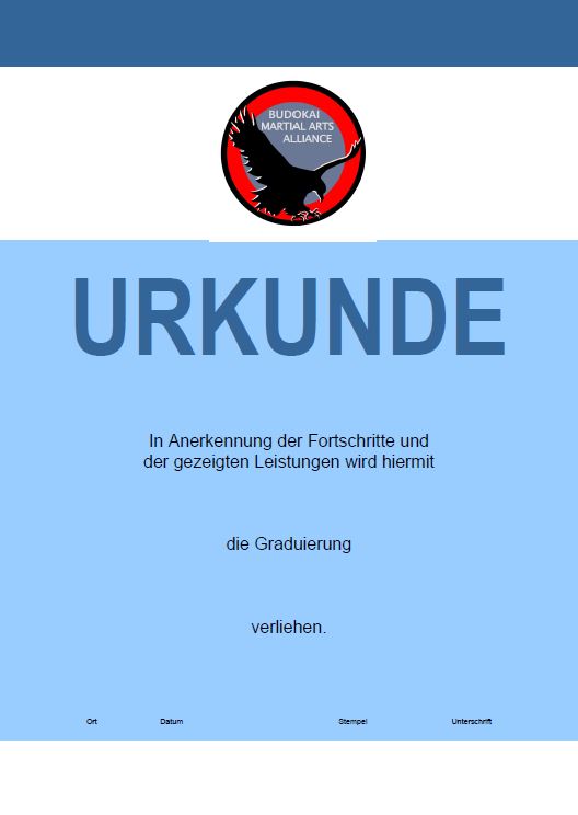 Schüler-Prüfungsurkunde 50 Stk.