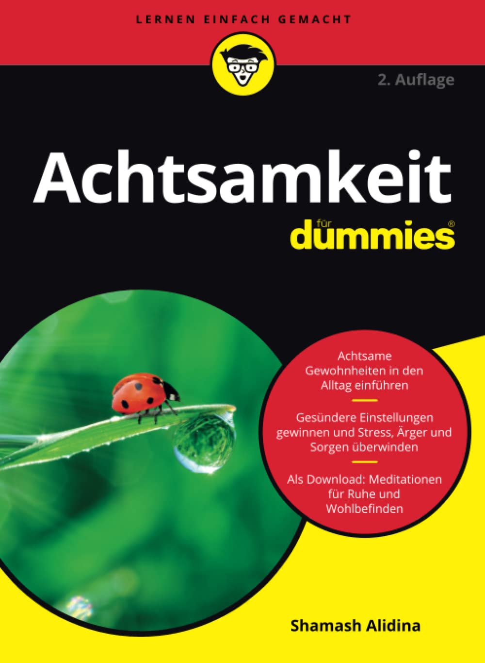 Achtsamkeit für Dummies (Neuauflage)