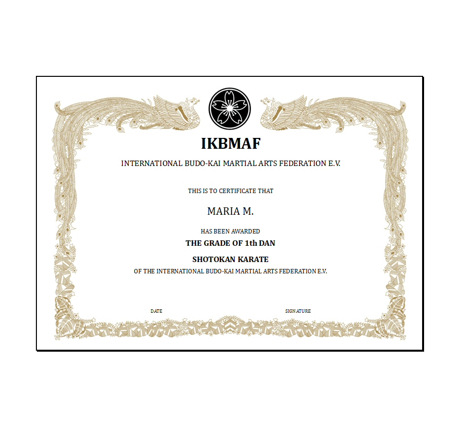 Dan Urkunde mit individuellem Eindruck DIN A3 Querformat