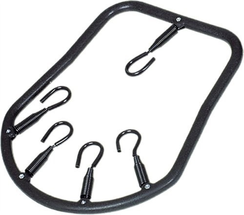 TOP TEN Eagle-Catcher