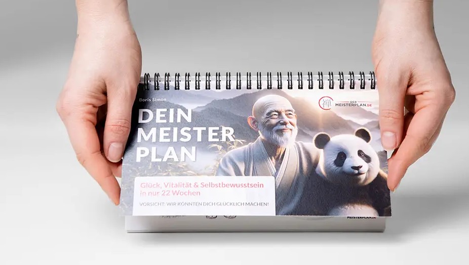 Der Meisterplan: 22 Wegweiser zu deinem besten Ich (Simon, Boris) RINGBUCH