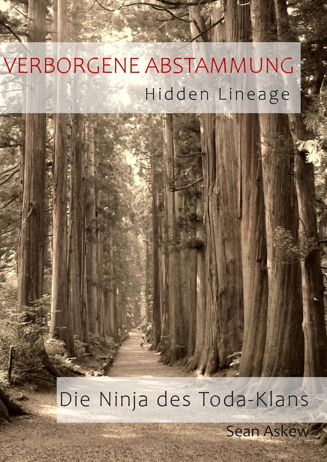 Verborgene Abstammung - die Ninja des Toda-Klans (Sean Askews)