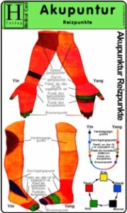 Medizinische Karte A5: Akupunktur Reizpunkte 1508