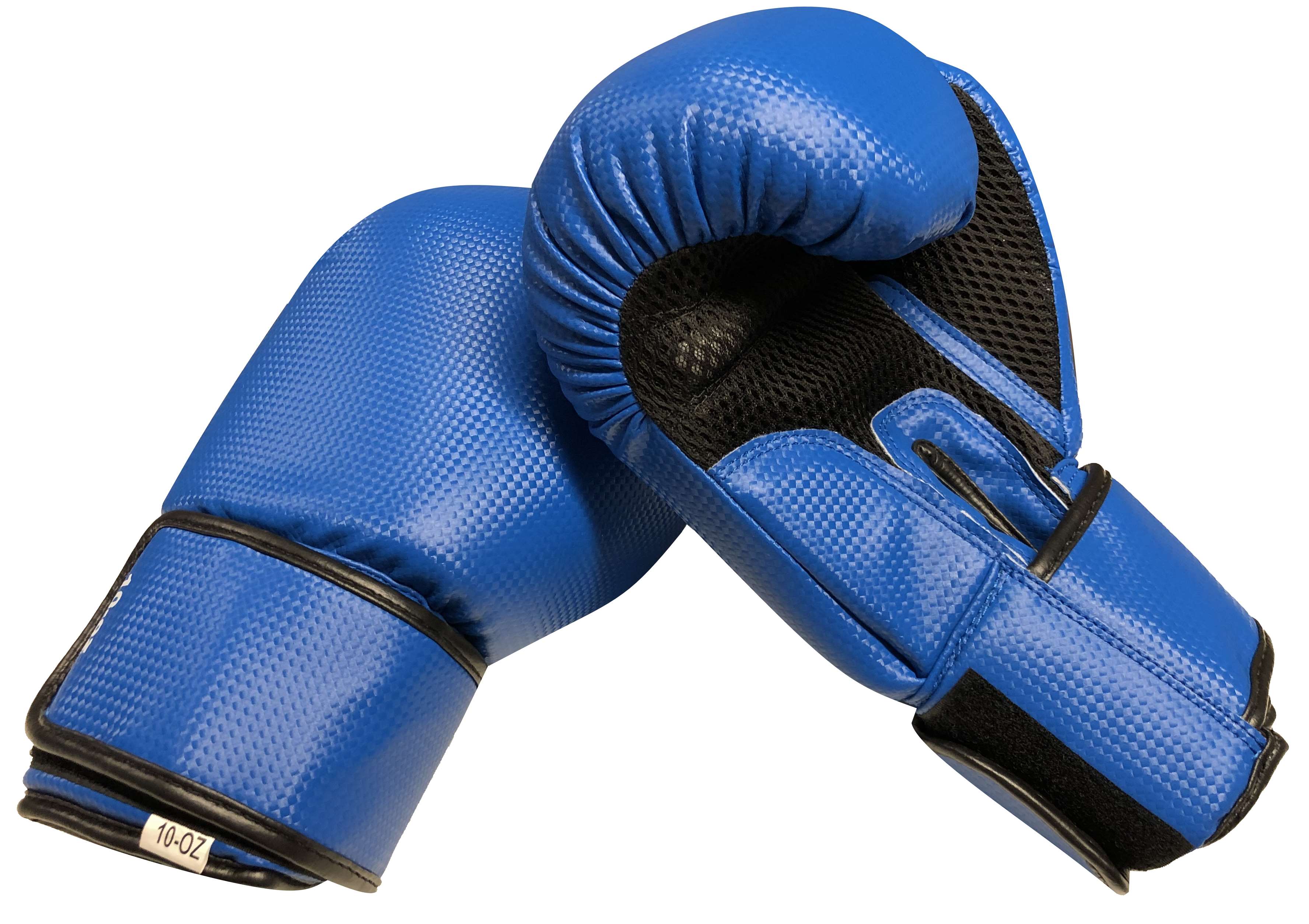 Boxhandschuhe BUDODRAKE BLUE Profi 10 oz
