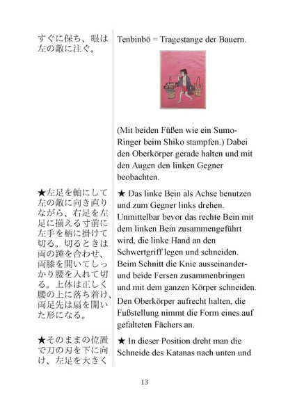 Leitfaden zum Muso Shinden Ryu (Deutscher Iaido Bund e.V. (Hrsg.))