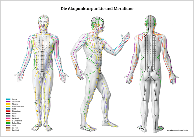 Die Akupunkturpunkte und Meridiane - LEHRPOSTER