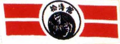Stirnband weiß Shotokan Tiger