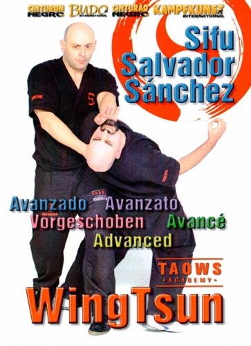 DVD Wing Tsun Fortgeschrittene Techniken TAOWS-Academy