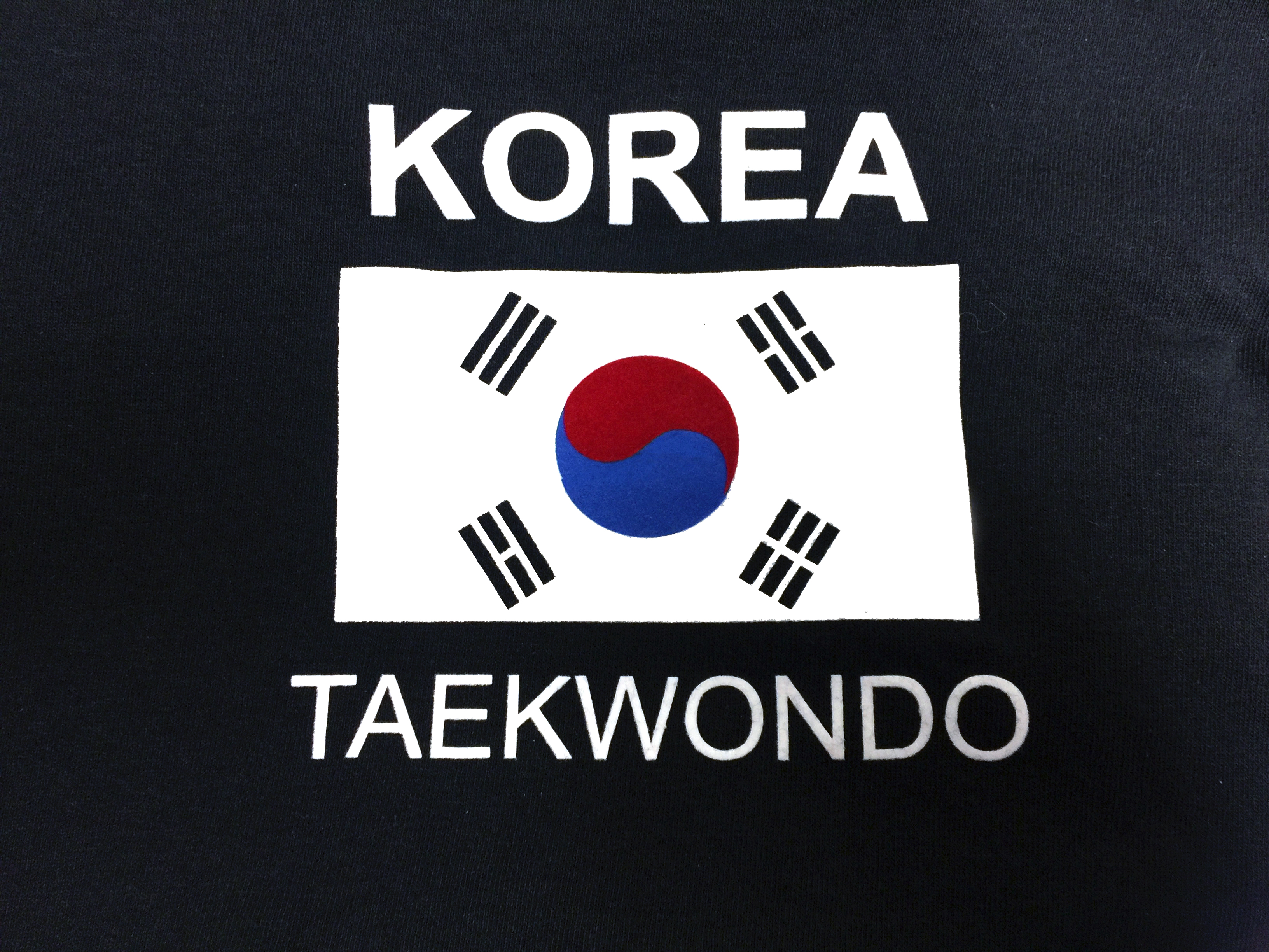 Taekwondo T-Shirt KOREA + Flagge schwarz mit Brust-Flockdruck