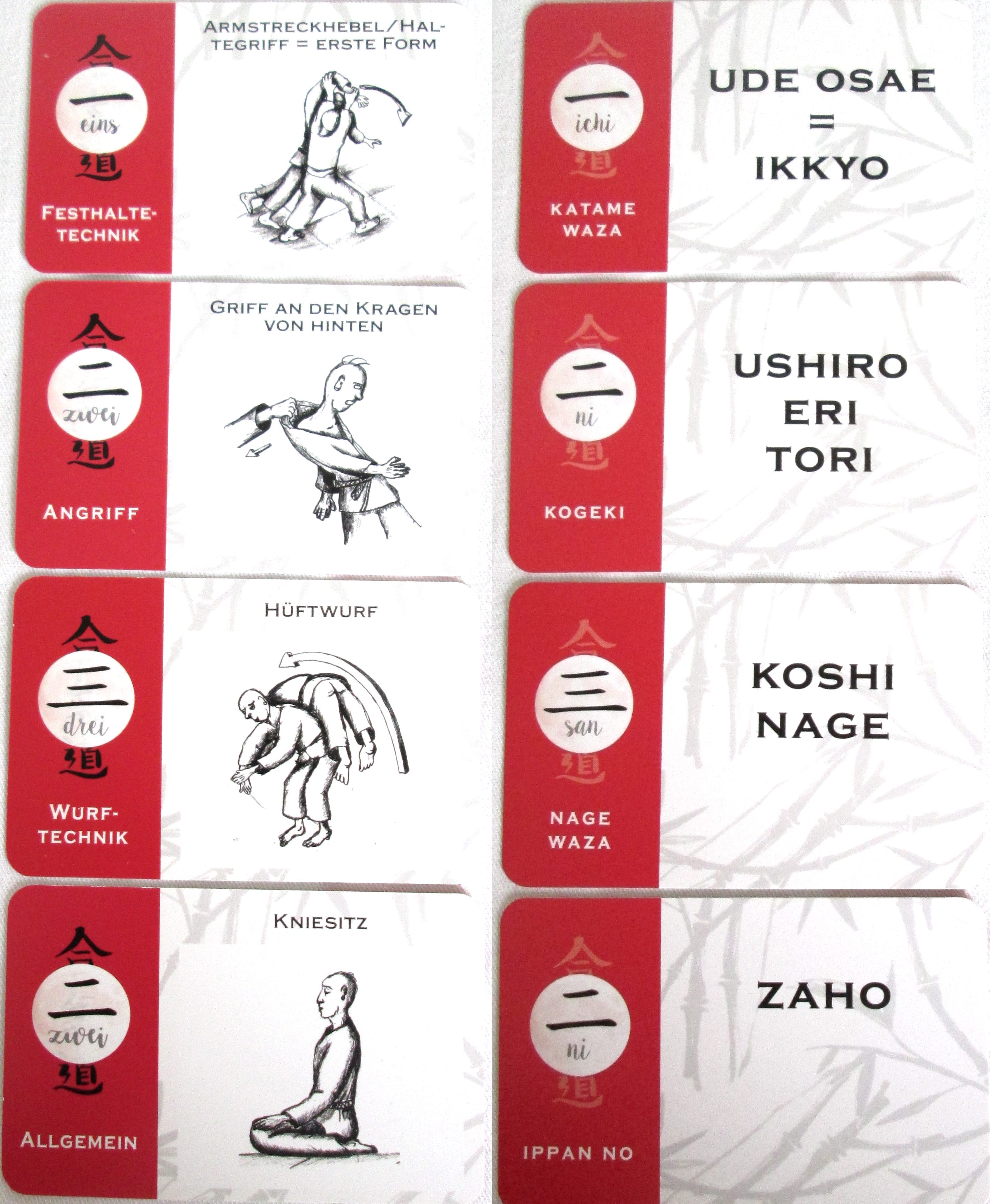Aikido Lernkarten Set