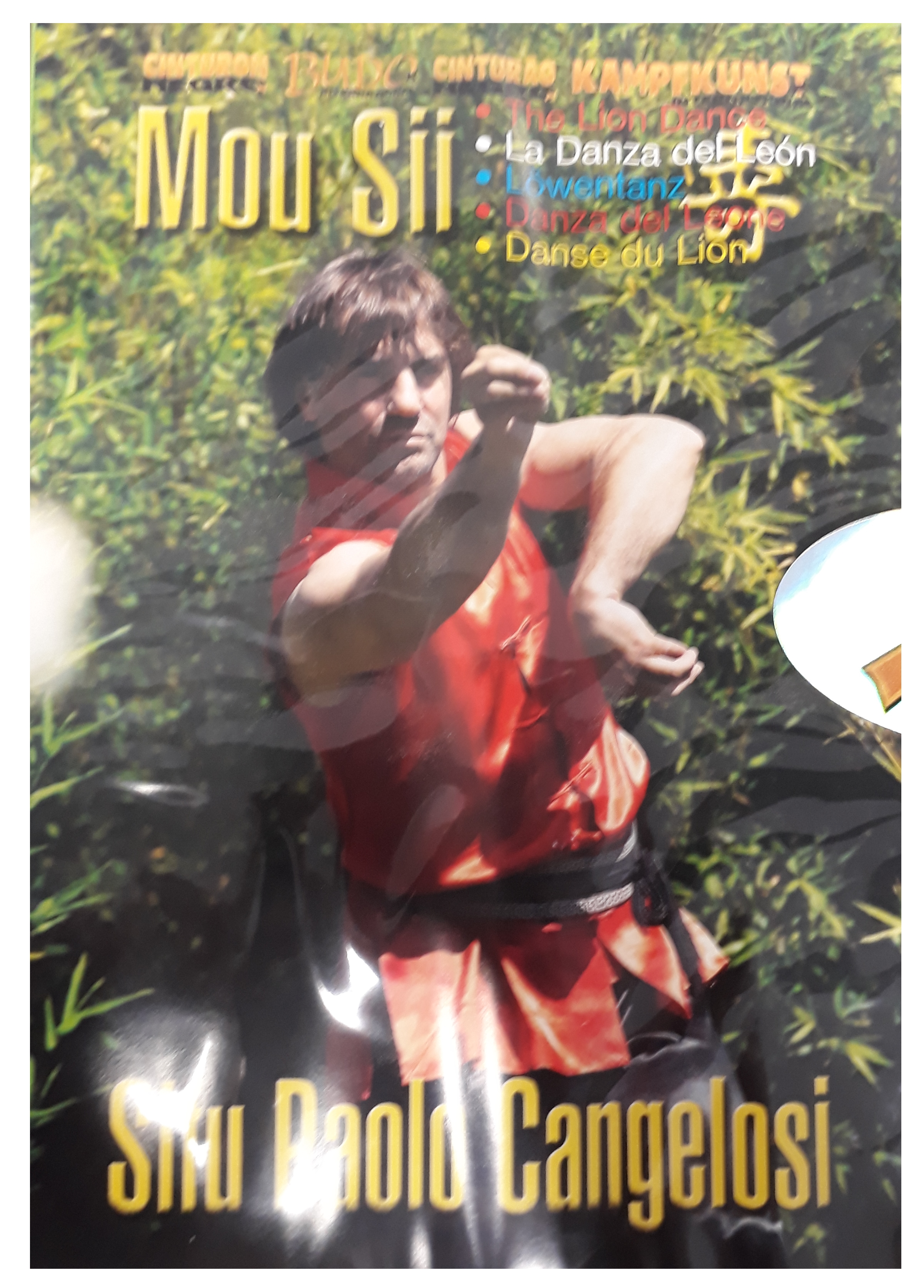 DVD Mou Sii - Löwentanz