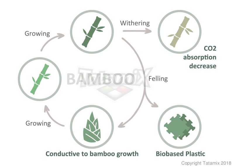 ECO GREEN Sportmatte / Wendematte schwarz-braun / 100 x 100 x 2 cm