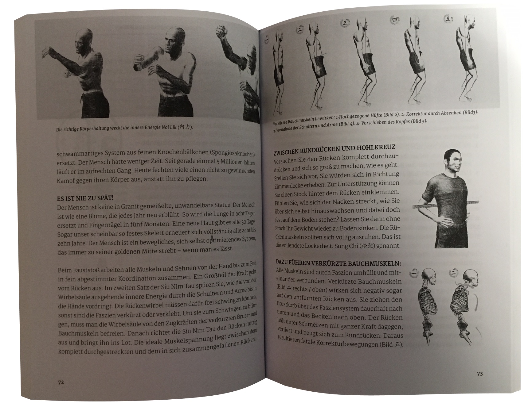 Siu Nim Tau: Geschichte - Ausführung - Biomechanik