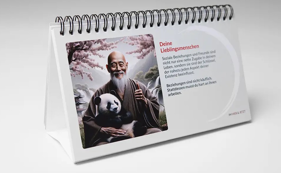 Der Meisterplan: 22 Wegweiser zu deinem besten Ich (Simon, Boris) RINGBUCH