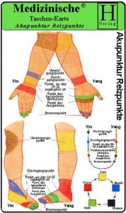 Medizinische Taschenkarte: Akupunktur Reizpunkte (1031)