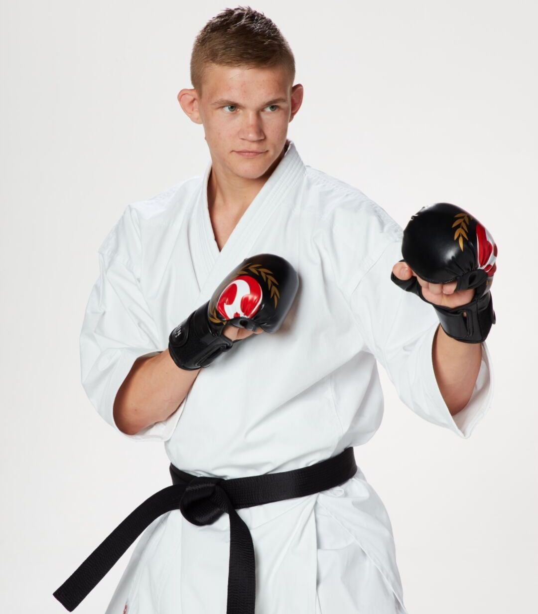 Seishin Ultimate grappl. Gloves