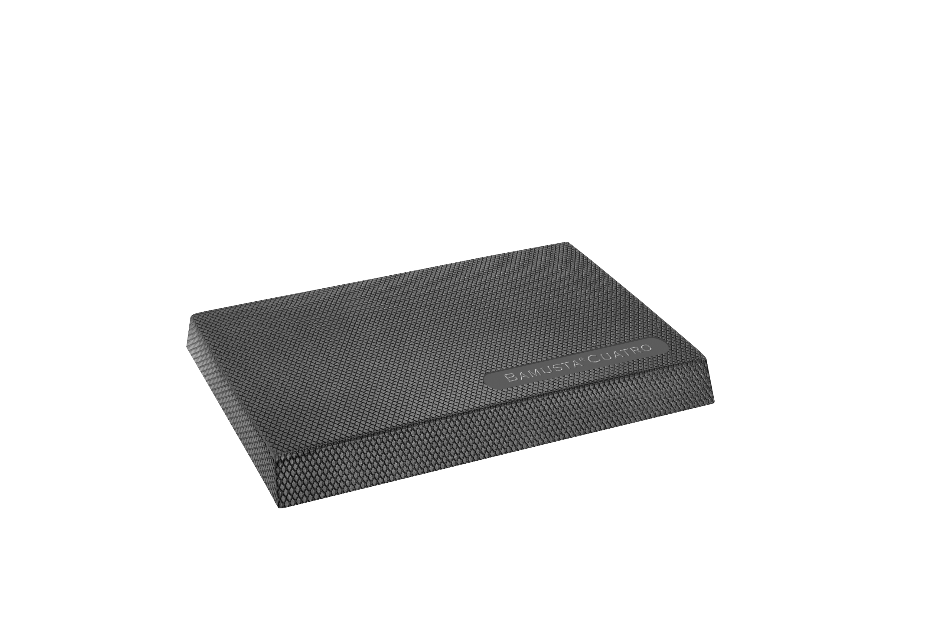 Bamusta (R)  Cuatro Balance Kissen