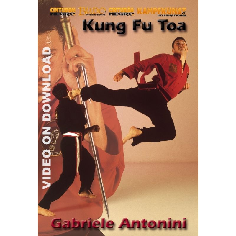 DVD Kung-Fu Toa Formen - Anwendungen Vol. 2