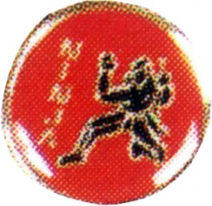 Anstecker / Pin Ninja Kämpfer rot