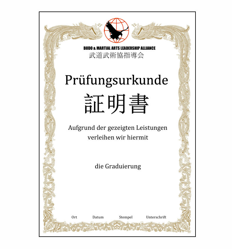 Schüler Prüfungsurkunde Budo & Martial Arts Alliance