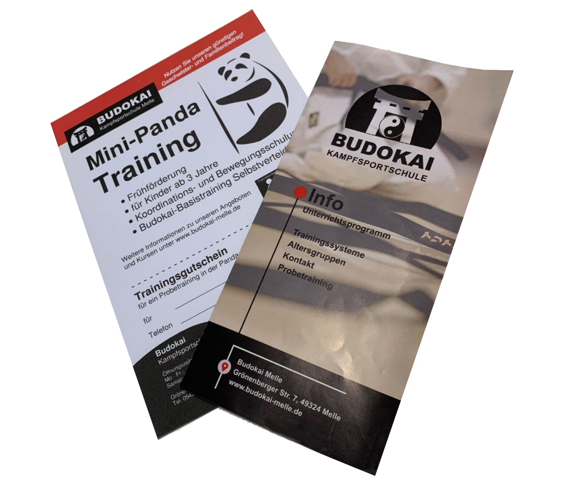 Werbeflyer Paket inkl. individueller Anpassung Faltflyer DIN lang - 250 St.