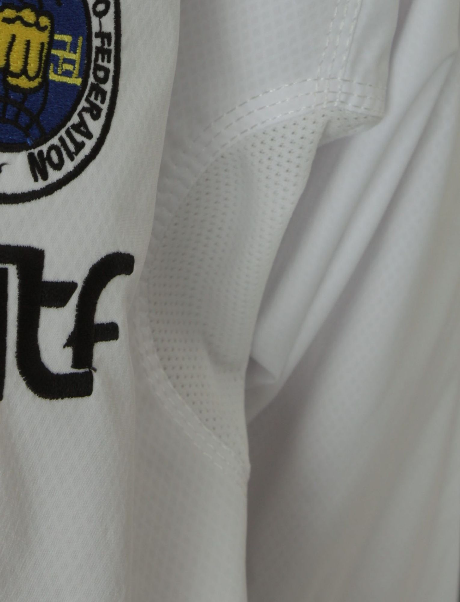 Taekwon-Do Master TOP TEN ITF Premium gold