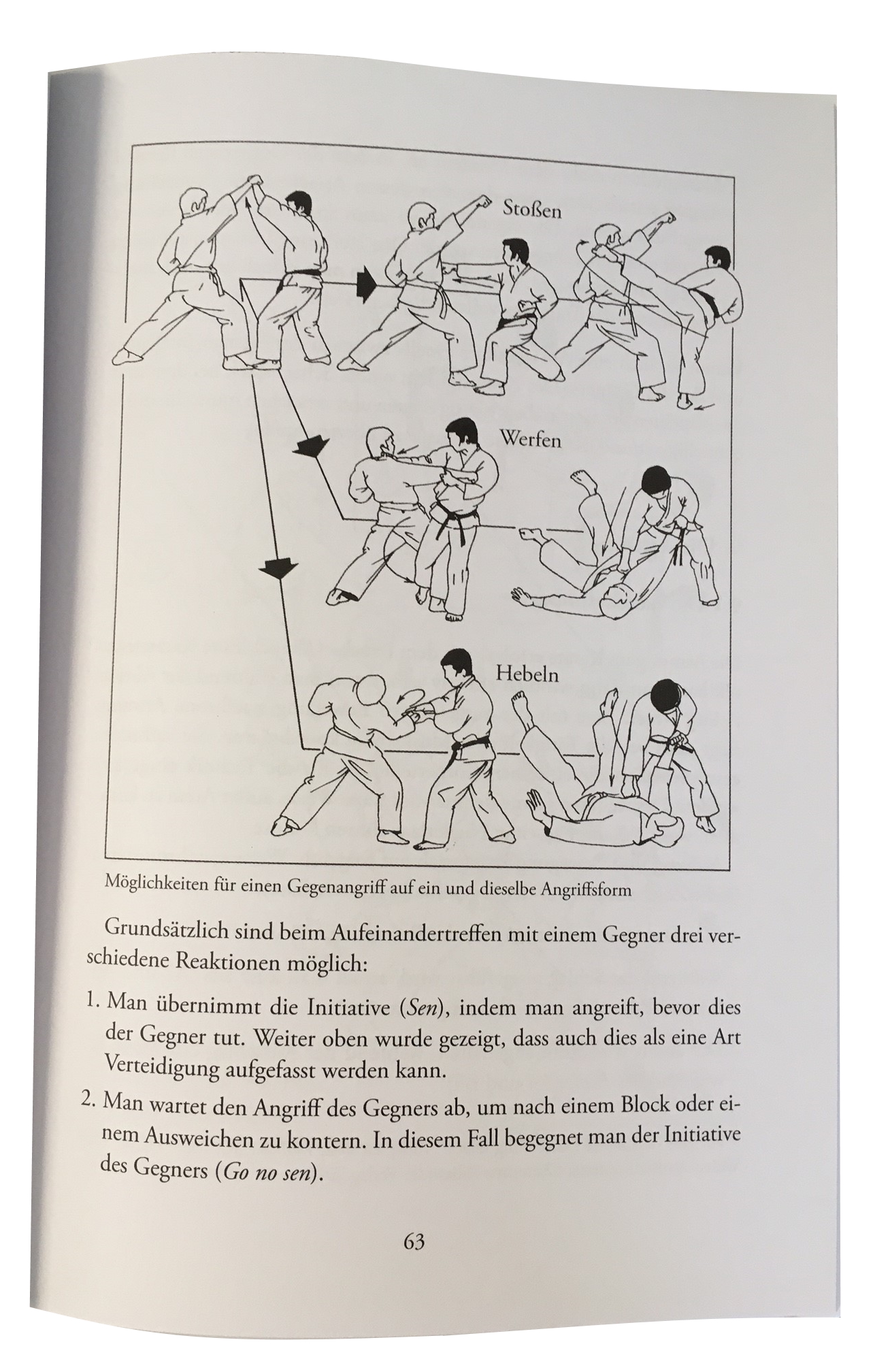 Die Grundtechniken des Karate - Habersetzer, Roland
