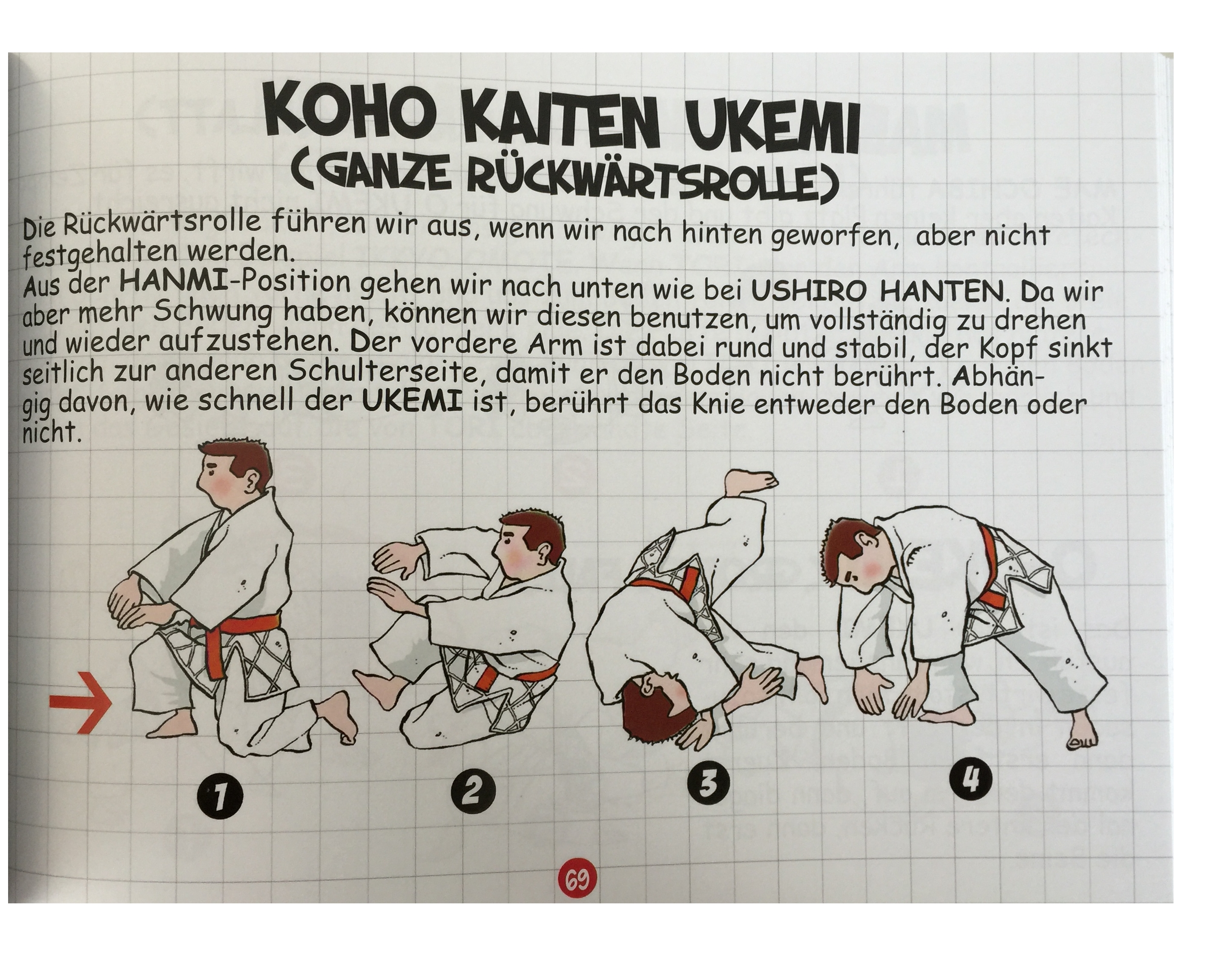 Wir lernen Aikido - Handbuch für Anfänger - Dessi, Francesco