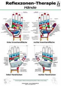 DIN A4: Reflexzonen-Therapie Mini-Poster - Hände (laminiert) 4353