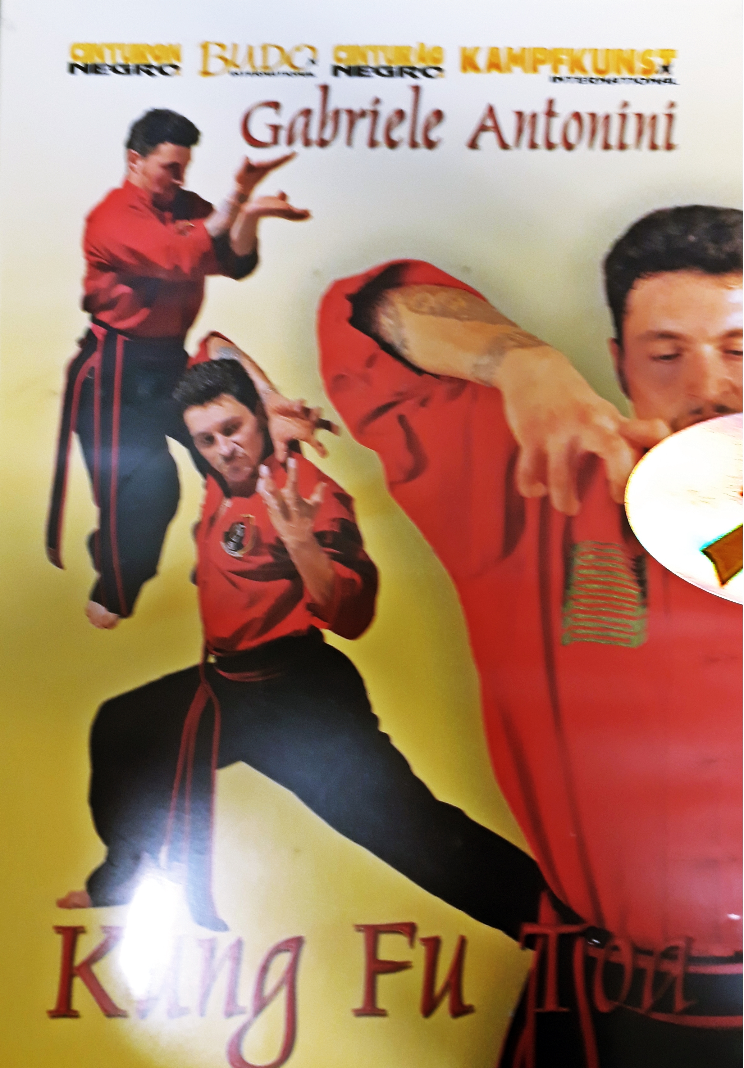 Antonini: Kung Fu Toa - Forms & applications Vol.1 (DVD)