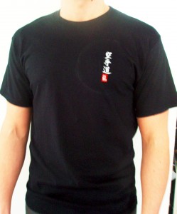 Budodrake Karate T-Shirt bestickt mit Karate-Do Schwarz/Gr.XXL