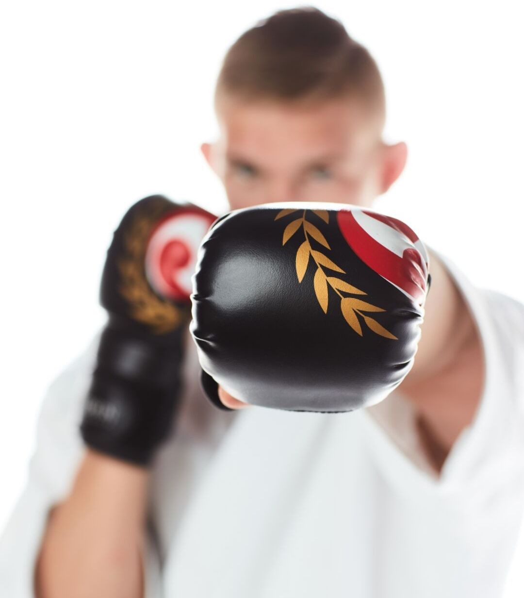 Seishin Ultimate grappl. Gloves