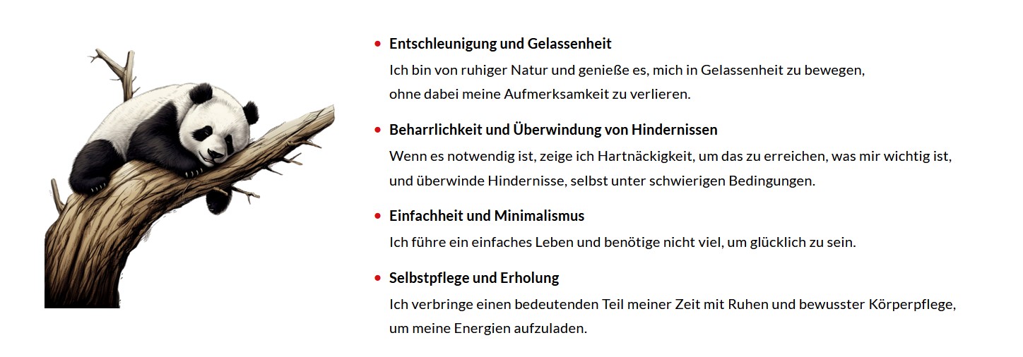 Der Meisterplan für ein Leben voller Glück, Vitalität und Selbstbewusstsein (Simon, Boris) Paperback