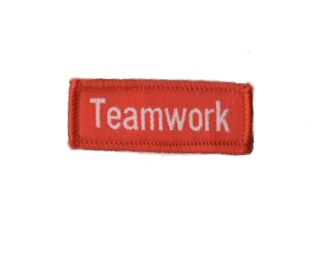 Teamwork - Anerkennungs-Abzeichen / Skill Patch
